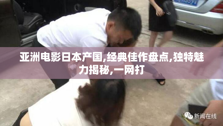 亚洲电影日本产国,经典佳作盘点,独特魅力揭秘,一网打