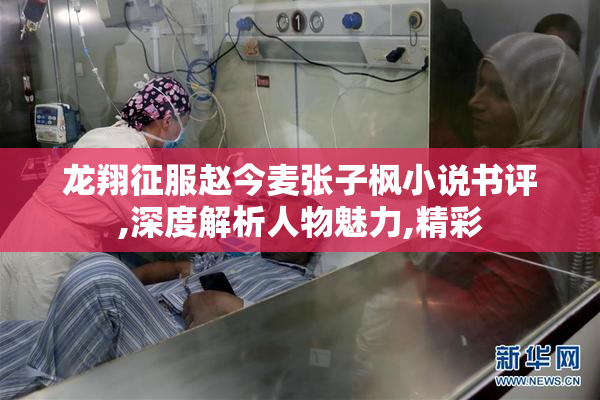 龙翔征服赵今麦张子枫小说书评,深度解析人物魅力,精彩