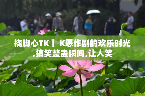挠脚心TK丨 K恶作剧的欢乐时光,搞笑整蛊瞬间,让人笑