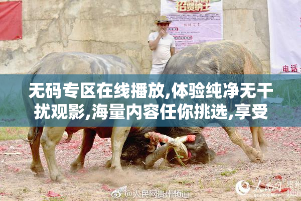 无码专区在线播放,体验纯净无干扰观影,海量内容任你挑选,享受