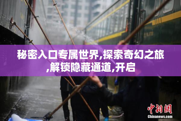 秘密入口专属世界,探索奇幻之旅,解锁隐藏通道,开启