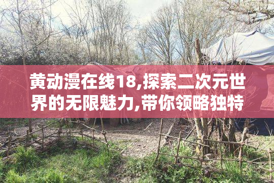 黄动漫在线18,探索二次元世界的无限魅力,带你领略独特