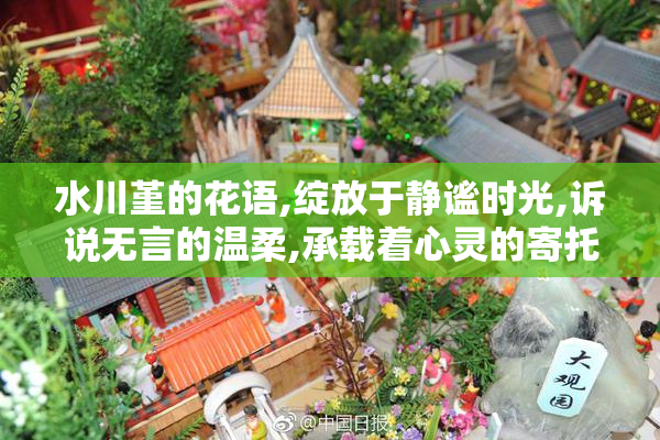 水川堇的花语,绽放于静谧时光,诉说无言的温柔,承载着心灵的寄托