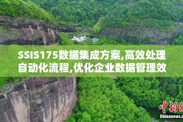 SSIS175数据集成方案,高效处理自动化流程,优化企业数据管理效率
