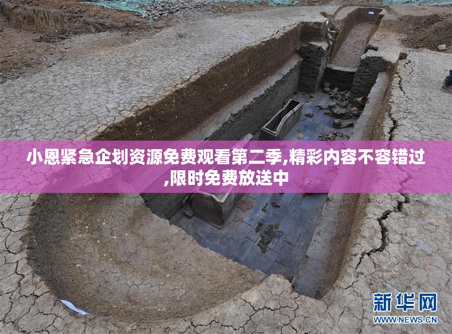 小恩紧急企划资源免费观看第二季,精彩内容不容错过,限时免费放送中
