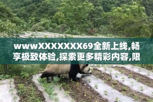 wwwXXXXXXX69全新上线,畅享极致体验,探索更多精彩内容,限时优惠不