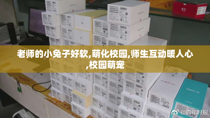 老师的小兔子好软,萌化校园,师生互动暖人心,校园萌宠