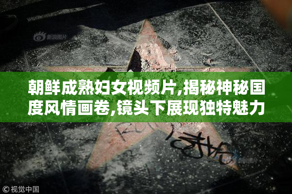 朝鲜成熟妇女视频片,揭秘神秘国度风情画卷,镜头下展现独特魅力