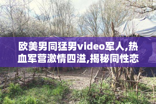 欧美男同猛男video军人,热血军营激情四溢,揭秘同性恋