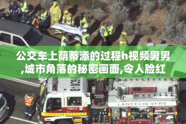公交车上荫蒂添的过程h视频男男,城市角落的秘密画面,令人脸红