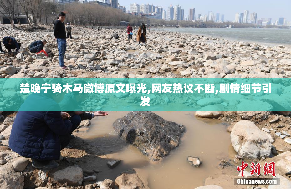 楚晚宁骑木马微博原文曝光,网友热议不断,剧情细节引发
