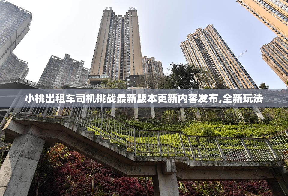 小桃出租车司机挑战最新版本更新内容发布,全新玩法