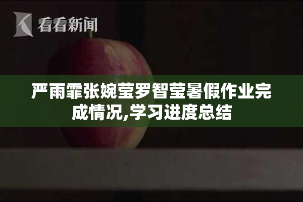 严雨霏张婉莹罗智莹暑假作业完成情况,学习进度总结