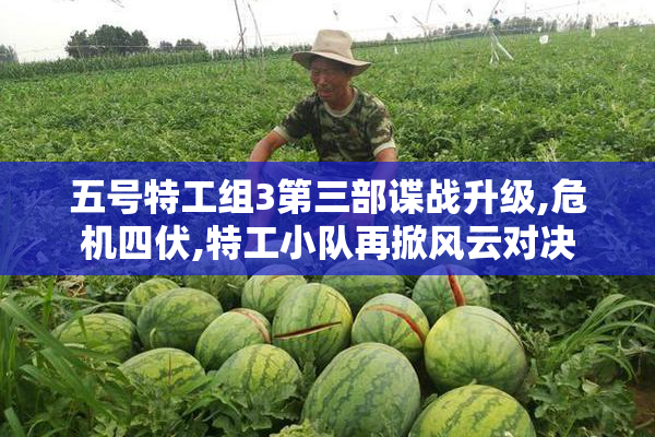 五号特工组3第三部谍战升级,危机四伏,特工小队再掀风云对决