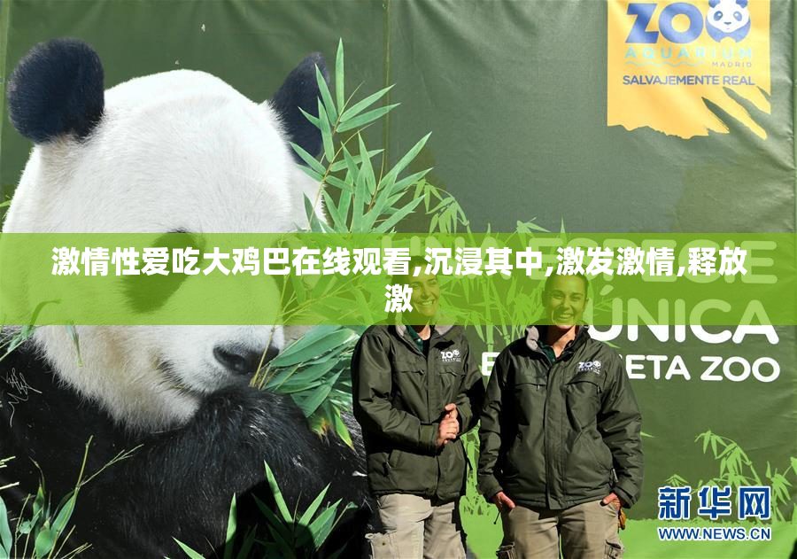激情性爱吃大鸡巴在线观看,沉浸其中,激发激情,释放激