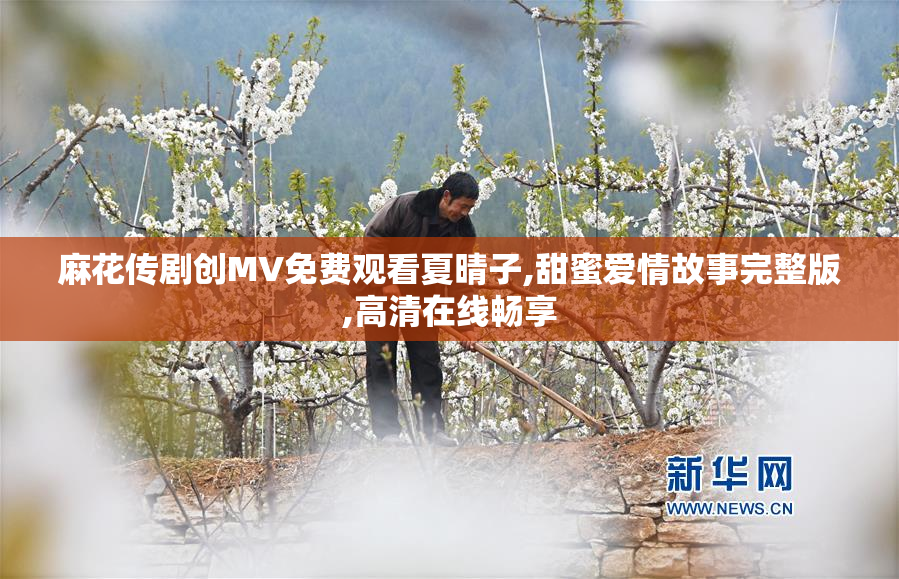 麻花传剧创MV免费观看夏晴子,甜蜜爱情故事完整版,高清在线畅享