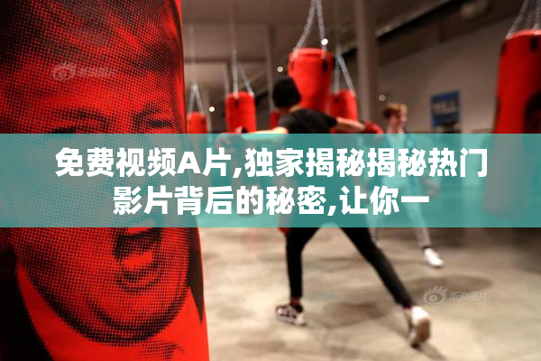 免费视频A片,独家揭秘揭秘热门影片背后的秘密,让你一