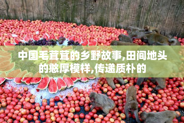 中国毛茸茸的乡野故事,田间地头的憨厚模样,传递质朴的
