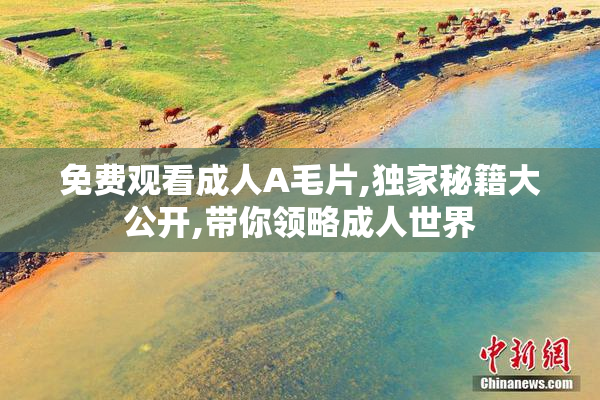 免费观看成人A毛片,独家秘籍大公开,带你领略成人世界