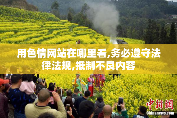 用色情网站在哪里看,务必遵守法律法规,抵制不良内容