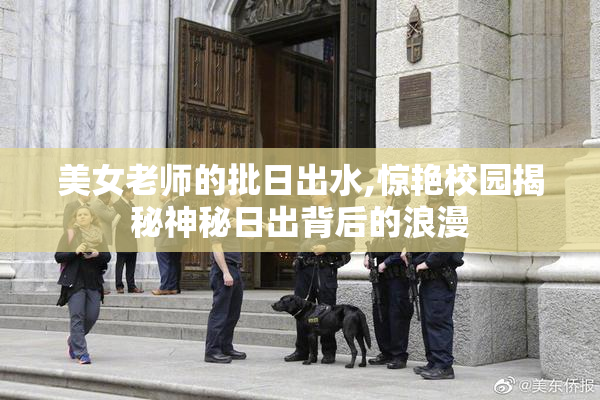 美女老师的批日出水,惊艳校园揭秘神秘日出背后的浪漫