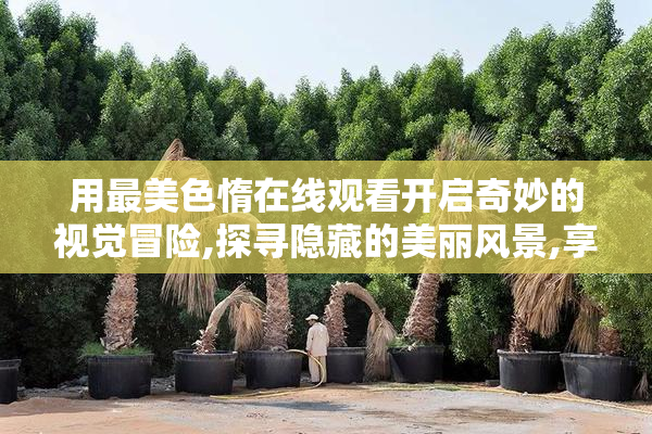 用最美色惰在线观看开启奇妙的视觉冒险,探寻隐藏的美丽风景,享受