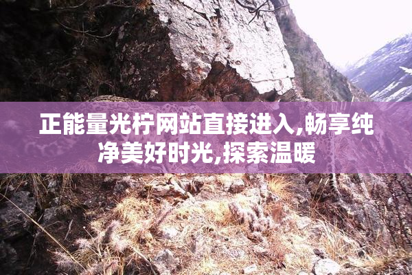 正能量光柠网站直接进入,畅享纯净美好时光,探索温暖