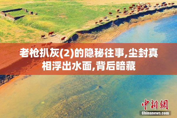 老枪扒灰(2)的隐秘往事,尘封真相浮出水面,背后暗藏