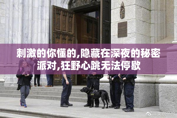 刺激的你懂的,隐藏在深夜的秘密派对,狂野心跳无法停歇
