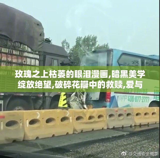 玫瑰之上枯萎的眼泪漫画,暗黑美学绽放绝望,破碎花瓣中的救赎,爱与