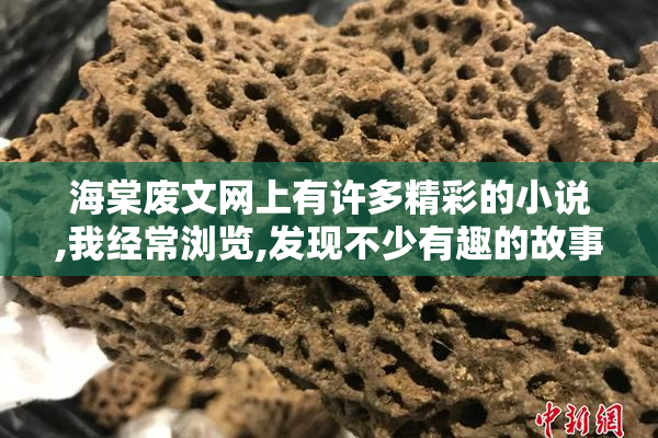 海棠废文网上有许多精彩的小说,我经常浏览,发现不少有趣的故事