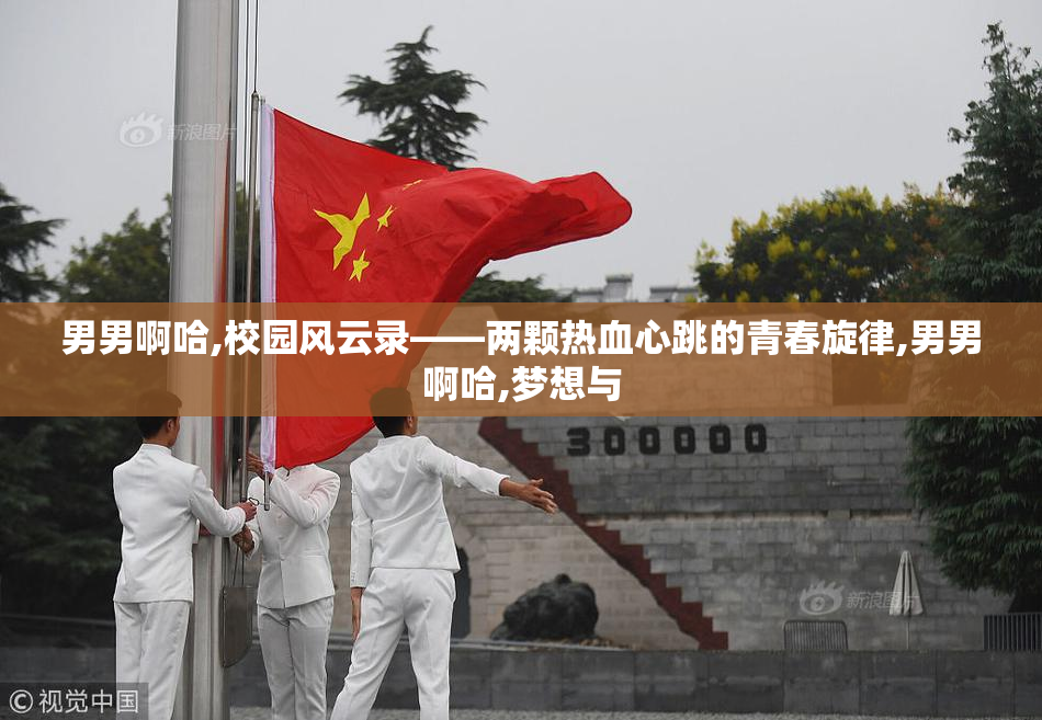 男男啊哈,校园风云录——两颗热血心跳的青春旋律,男男啊哈,梦想与
