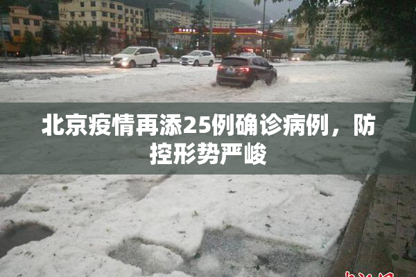 北京疫情再添25例确诊病例，防控形势严峻