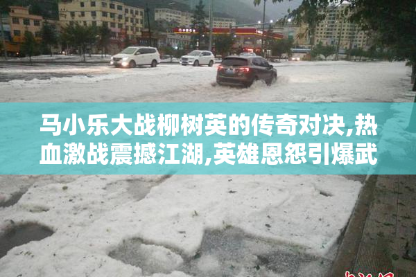 马小乐大战柳树英的传奇对决,热血激战震撼江湖,英雄恩怨引爆武林