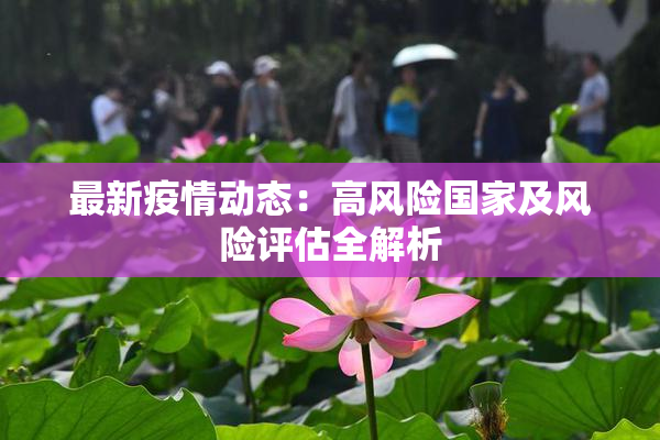 最新疫情动态：高风险国家及风险评估全解析