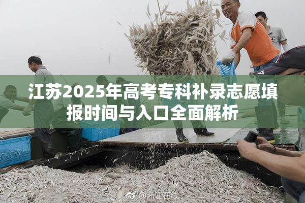 江苏2025年高考专科补录志愿填报时间与入口全面解析