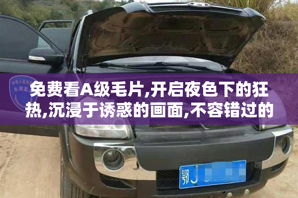 免费看A级毛片,开启夜色下的狂热,沉浸于诱惑的画面,不容错过的
