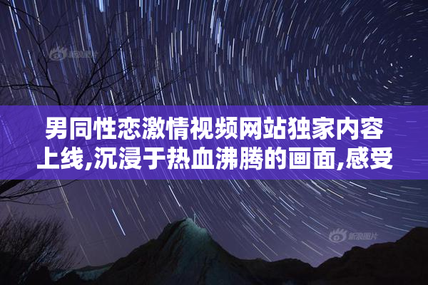 男同性恋激情视频网站独家内容上线,沉浸于热血沸腾的画面,感受爱