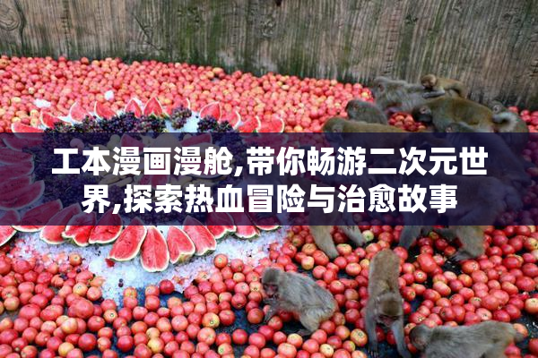 工本漫画漫舱,带你畅游二次元世界,探索热血冒险与治愈故事