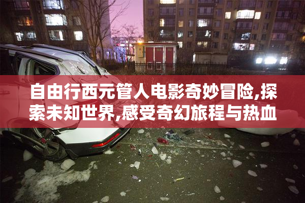 自由行西元管人电影奇妙冒险,探索未知世界,感受奇幻旅程与热血故事