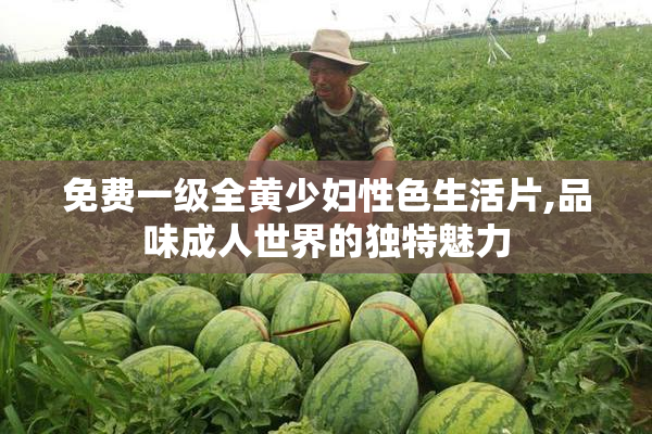 免费一级全黄少妇性色生活片,品味成人世界的独特魅力