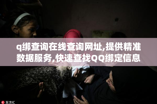 q绑查询在线查询网址,提供精准数据服务,快速查找QQ绑定信息,安全