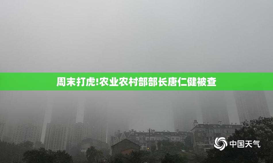 周末打虎!农业农村部部长唐仁健被查