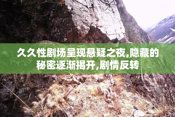久久性剧场呈现悬疑之夜,隐藏的秘密逐渐揭开,剧情反转