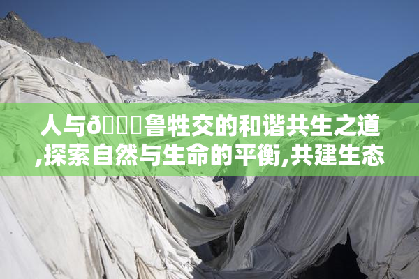人与🆓鲁牲交的和谐共生之道,探索自然与生命的平衡,共建生态