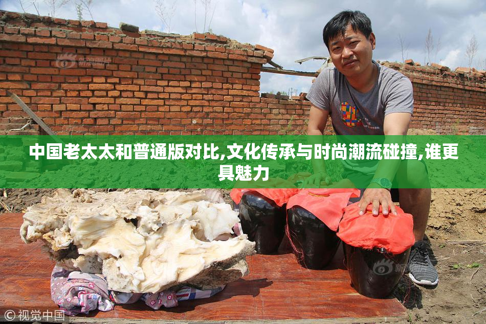 中国老太太和普通版对比,文化传承与时尚潮流碰撞,谁更具魅力