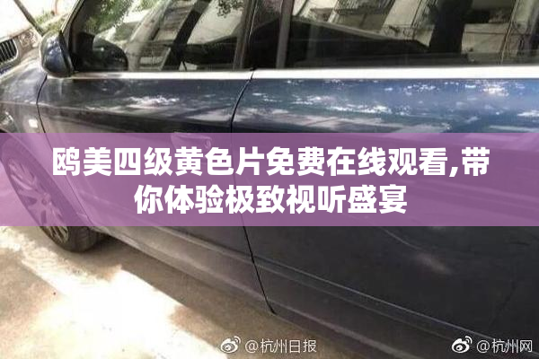 鸥美四级黄色片免费在线观看,带你体验极致视听盛宴