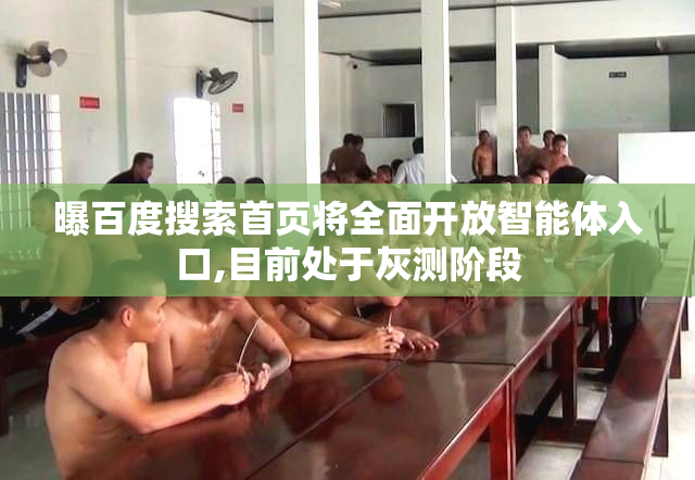 曝百度搜索首页将全面开放智能体入口,目前处于灰测阶段