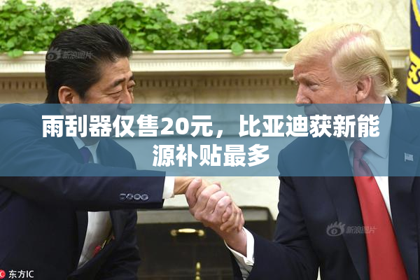 雨刮器仅售20元，比亚迪获新能源补贴最多