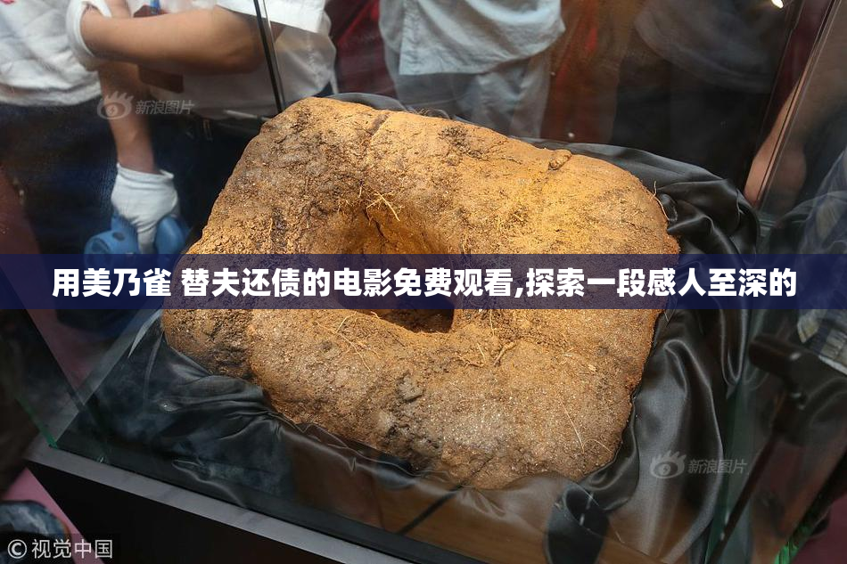 用美乃雀 替夫还债的电影免费观看,探索一段感人至深的